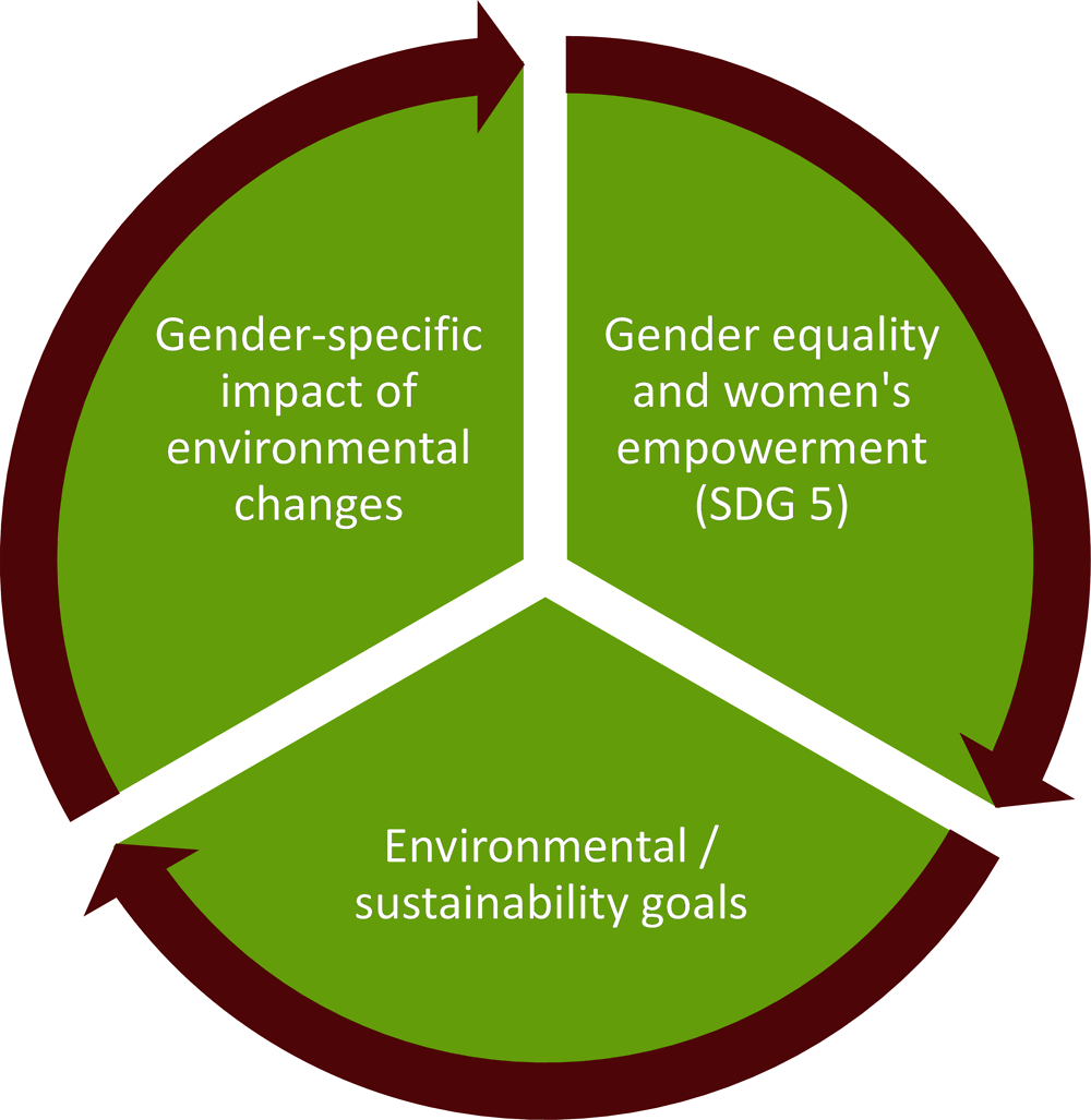 1. Gender equality and sustainable development | Gender the Environment : Building Evidence and Policies Achieve the SDGs | OECD iLibrary