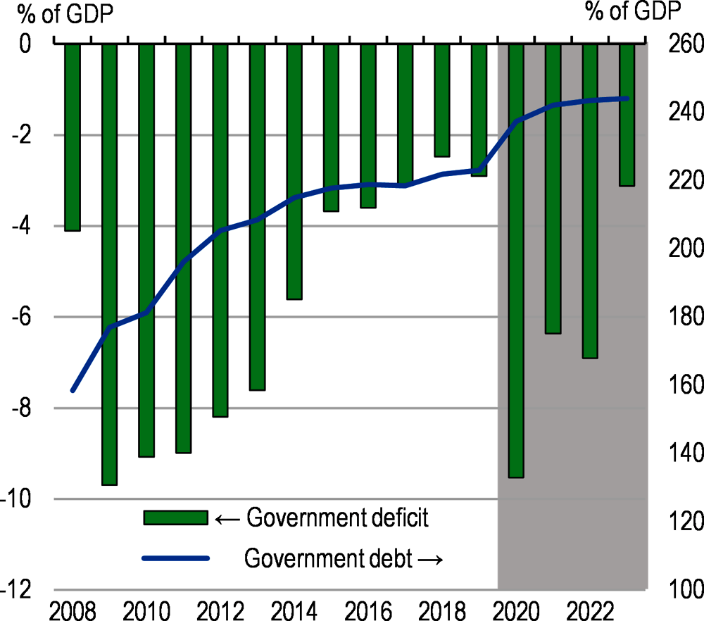 Figure 2. Fiscal policy reacted robustly
