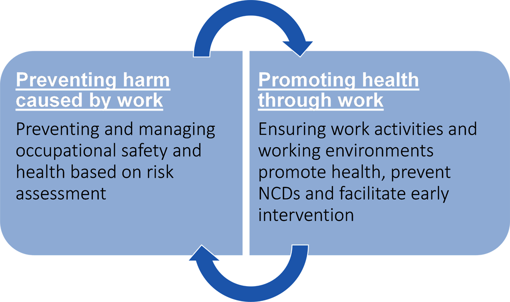 Figure 1.1. Rationale for the analysis: integrating health and well-being promotion into the prevention of occupational safety and health risks