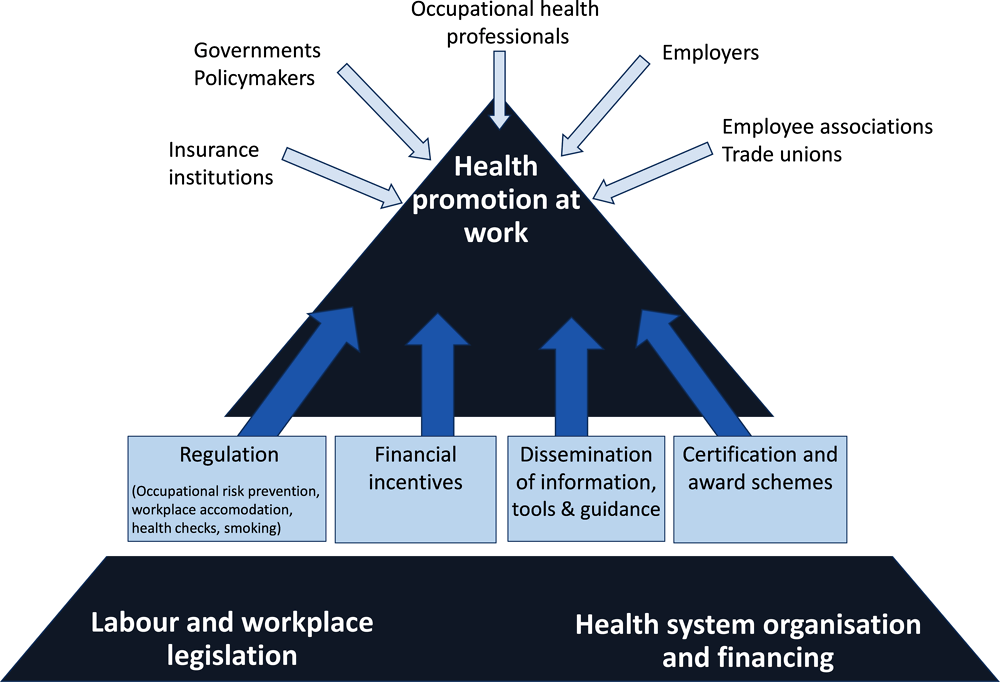 Figure 1.6. Determinants of health and well-being promotion through work
