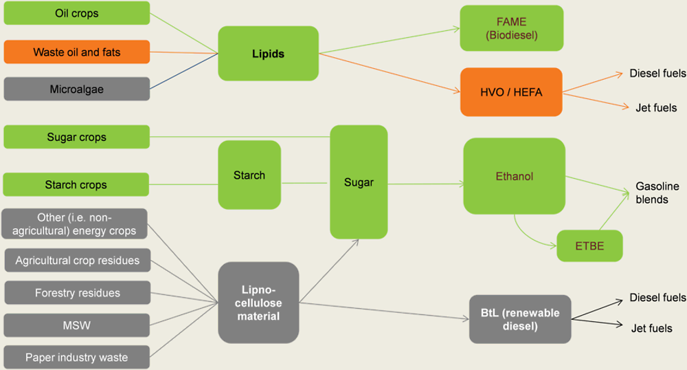 Figure 5.1. Major biofuel pathways in the transport sector