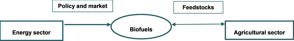 Annex Figure 5.B.1. Linkage between the energy, biofuels and agricultural