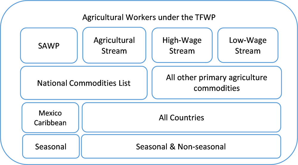 Figure 3.5. Streams of agricultural workers under the TFW Program