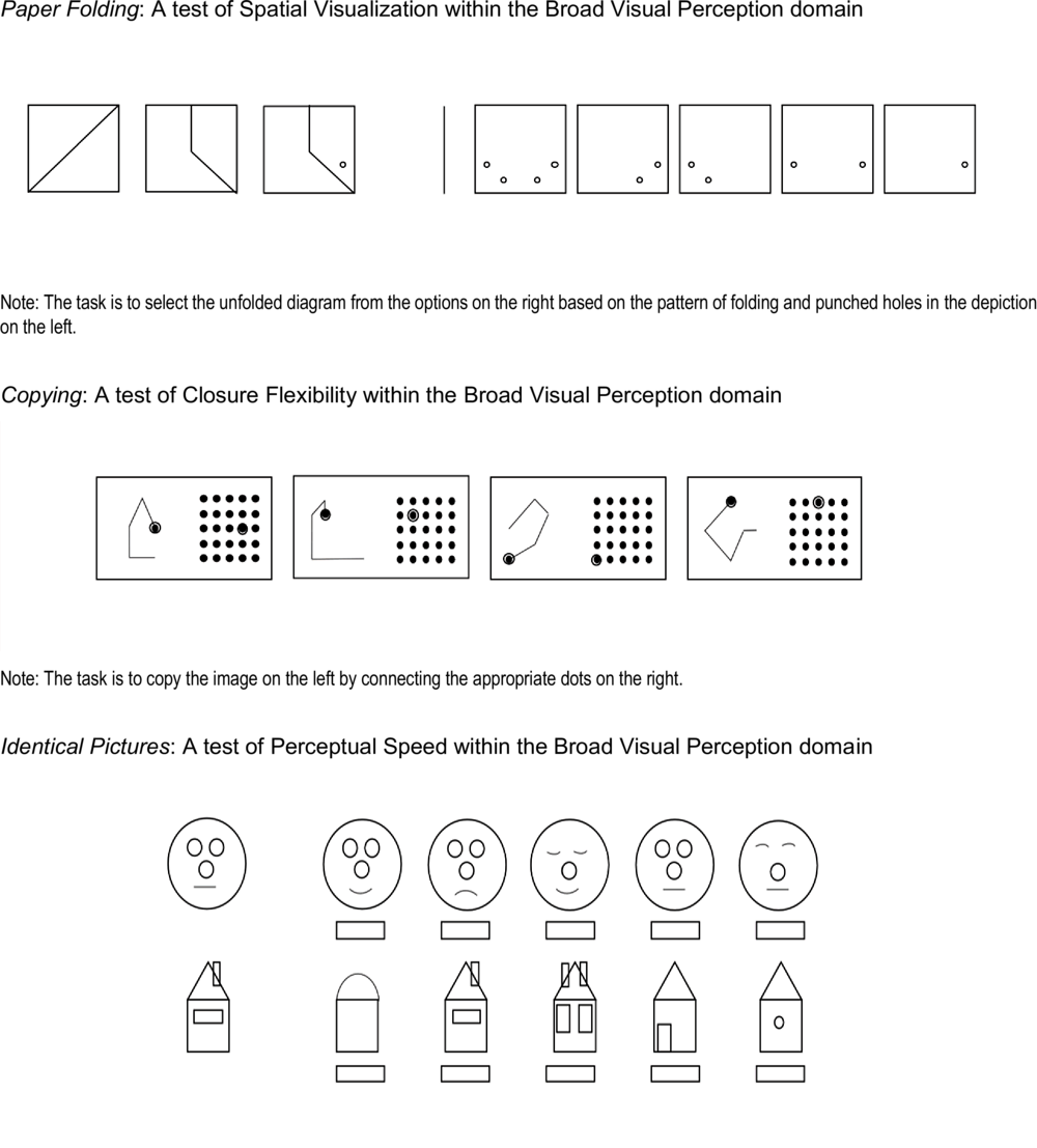 Annex Figure 3.D.3. Example broad visual perception test items